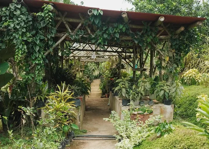 Adlawon Vacation Farm Farm stay *