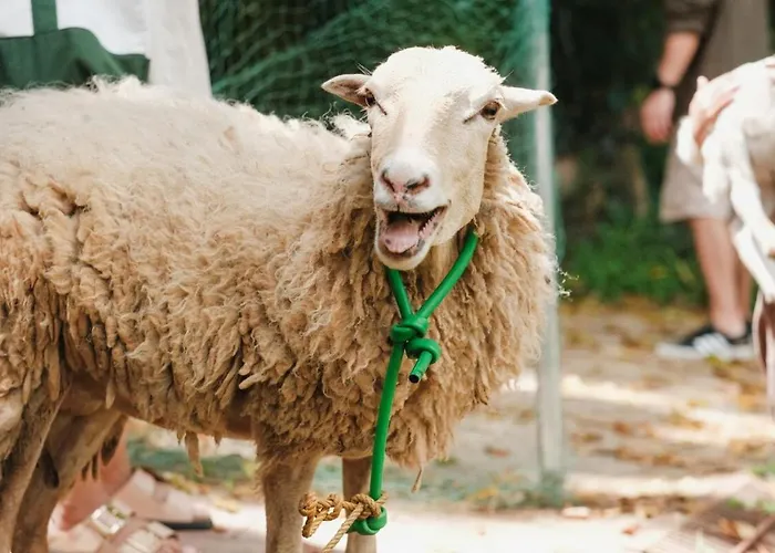 Adlawon Vacation Farm Farm stay *