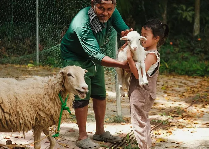 Adlawon Vacation Farm * Cebu