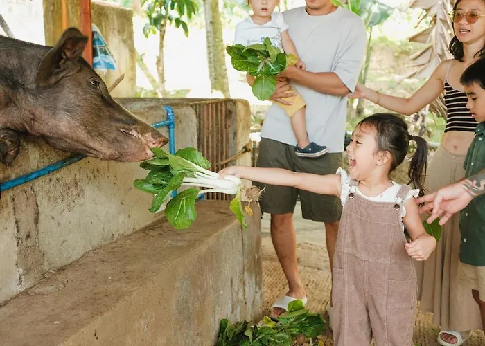 Adlawon Vacation Farm Farm stay Cebu