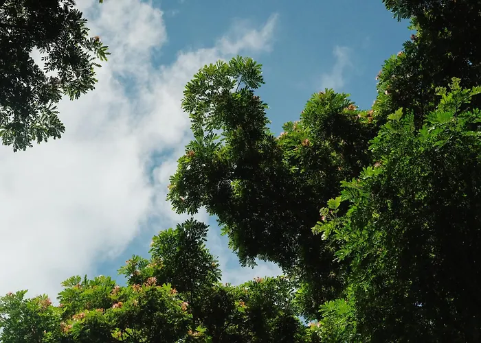 Farm stay Adlawon Vacation Farm Cebu